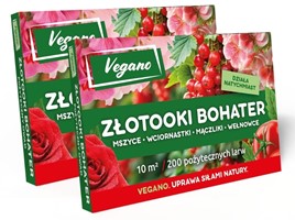 Złotooki Bohater - larwy na mszyce - 400 szt. Vegano
