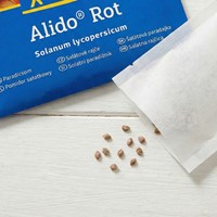 Pomidor sałatkowy Alido Rot odporny na pękanie - nasiona