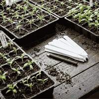 Tabliczki do roślin plastikowe z ołówkiem - 10 cm x 25 szt.