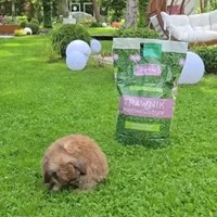 Trawnik samonawożący 4 kg Vegano