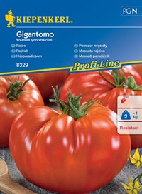 Pomidor mięsisty Gigantomo F1