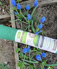 Trawa na macie - rolka z nasionami trawy 3x0,5x8m GreenGrass