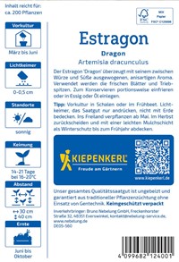 Estragon Dragon - Artemisia dracunculus - nasiona