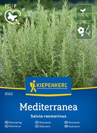 Rozmaryn lekarski wieloletni Mediterranea - nasiona