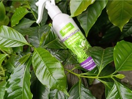 Regenerator do roślin zielonych Vegano 300 ml