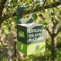 Złotooki Bohater - larwy na mszyce - 600 szt. Vegano
