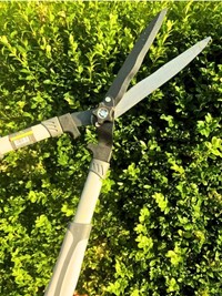 Nożyce do żywopłotu ręczne 21 cm Green Star