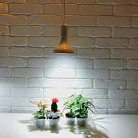 Żarówka LED E27 do doświetlania roślin 18W