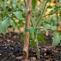 Drut ogrodniczy do podwiązywania roślin 25 m Green Star