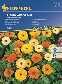 Nagietek lekarski Fiesta Gitana - nasiona mieszanka