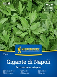 Pietruszka naciowa Gigante di Napoli - nasiona