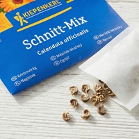 Nagietek lekarski - Calendula Officinalis - nasiona