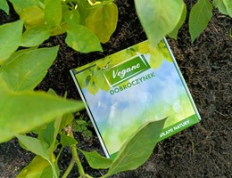 Dobroczynek Kalifornijski - saszetki 10 szt.