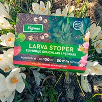 Nicienie na opuchlaki i pędraki Larva Stoper 50 mln Vegano