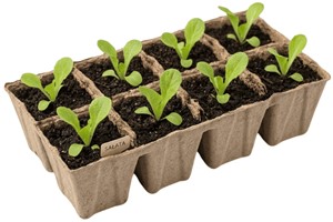 Doniczki z włókna kokosowego 6 cm – 3 palety po 8 doniczek