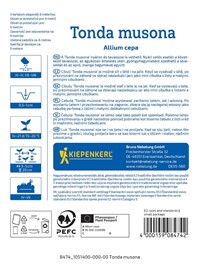 Cebula siedmiolatka zimowa Tonda Musona