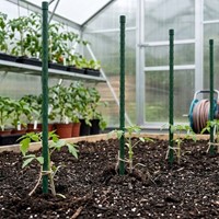 Tyczki PCV zielone 90 cm – zestaw 10 szt. Green Star