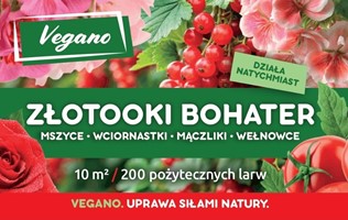 Złotooki Bohater - larwy na mszyce - 600 szt. Vegano
