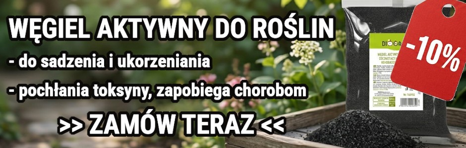 Banner promocyjny