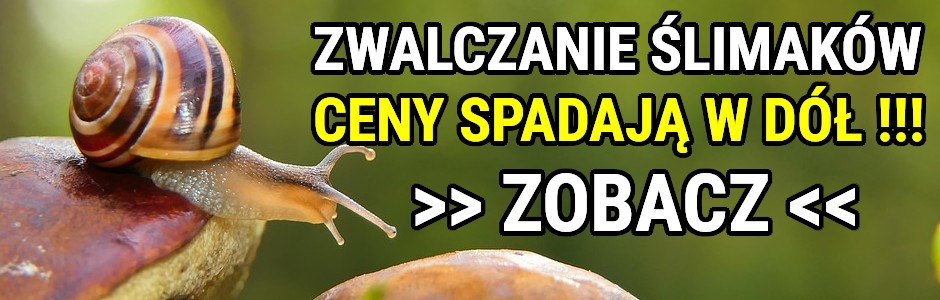 Banner promocyjny