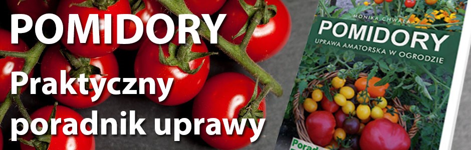 Banner promocyjny