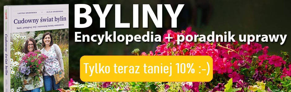 Banner promocyjny