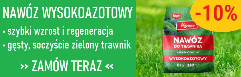 Banner promocyjny
